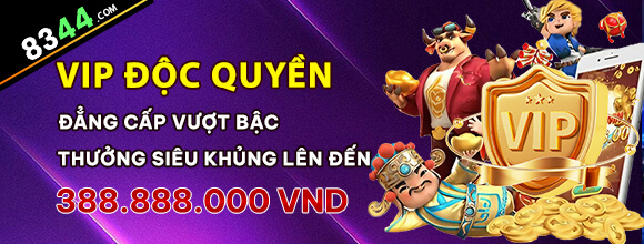 Hình ảnh quảng cáo của mm99 hiển thị nền tảng và các lợi ích